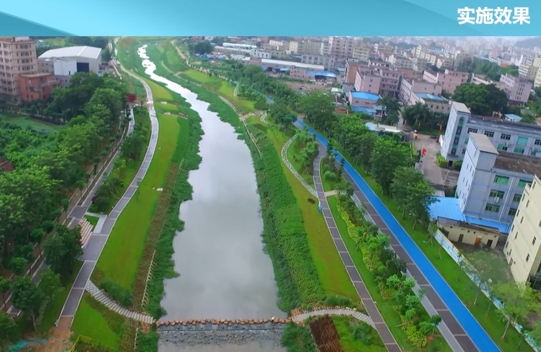 坪山河干流综合整治及水质提升工程获市级奖项,因为这些创新举措_读特