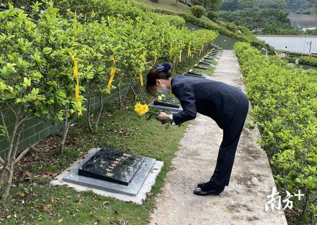 "云端"忆先人,代祭传哀思!广东多地推绿色文明祭扫