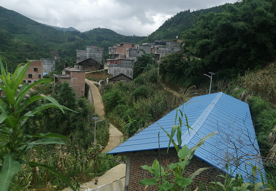 高山贫困村的破茧蝶变