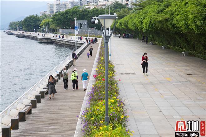 赏花漫步看海景快看盐田这座公园与地铁站无缝对接