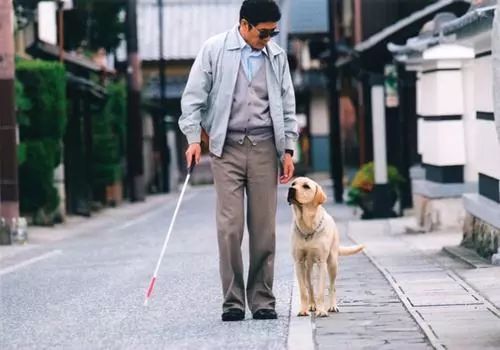 9月28日凌晨珠海长隆度假区官微就盲人带导盲犬入住企鹅酒店遭拒一事