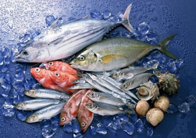 喜欢吃鱼的注意了：深圳部分黄骨鱼、鲈鱼、对虾药物超标！