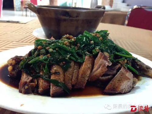 河豚1.webp