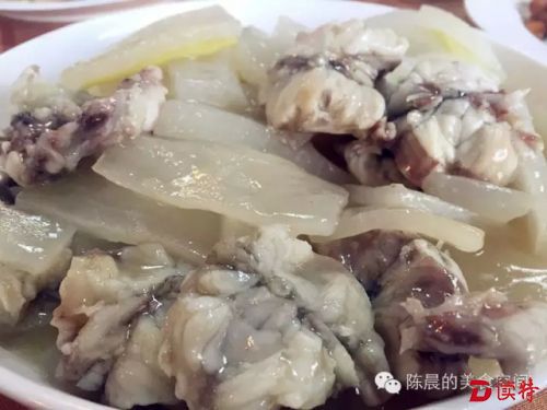 河豚9.webp