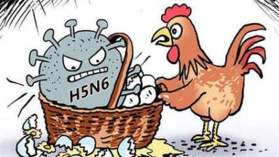 深圳报告1例H5N6流感病例