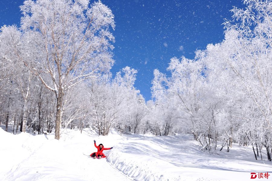 延边雾凇美如画