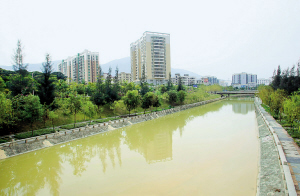河流怎么治理？基因检测能否纳入医保？委员有话说