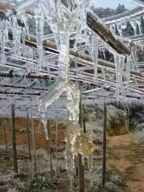 韶关大雪