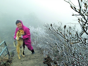 连山金子山出现雾凇和冰挂。记者曹菁 摄