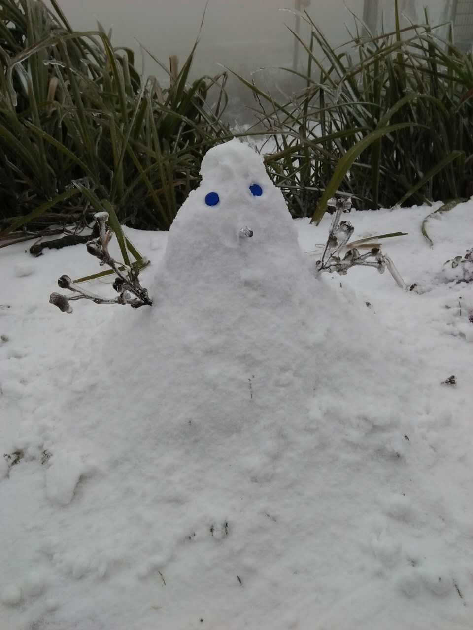 粤北下雪了！读特记者带你去看冰雪世界