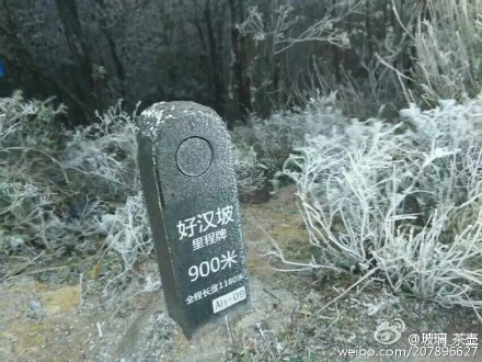 梧桐山草木皆“冰” 不是下雪是凝冻