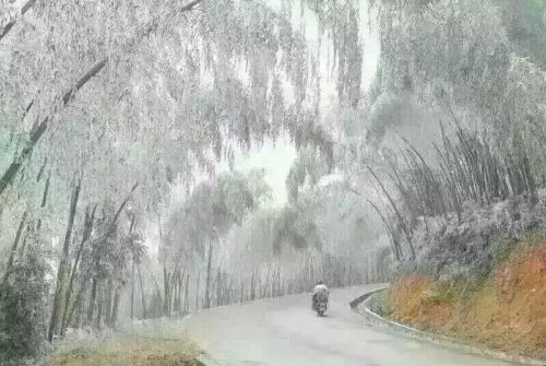 道路结冰 南昆山封路啦 游客请绕行