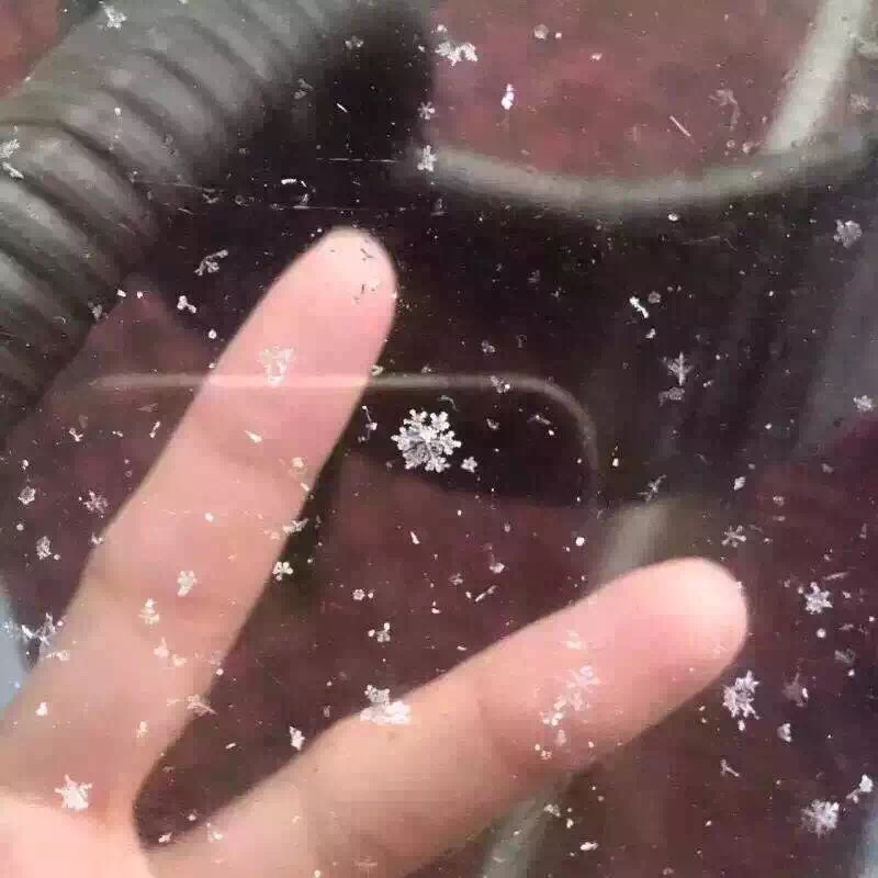 广州佛山东莞飘雪了！不过白云山的大雪是PS的