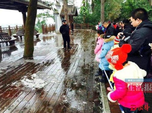 粒粒皆金贵！广西为保护“41年来首次降雪”拉警戒线