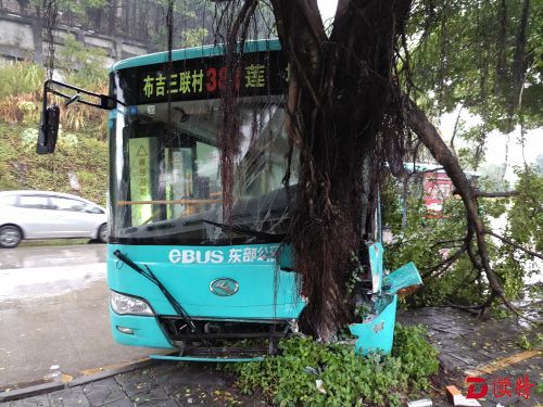 公交车车头撞上树干
