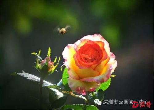 640.webp (1)