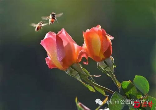640.webp