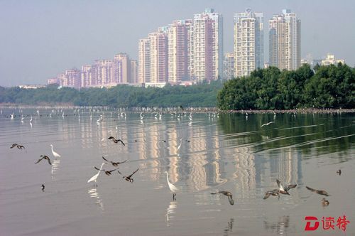 IMG_4458-12_副本