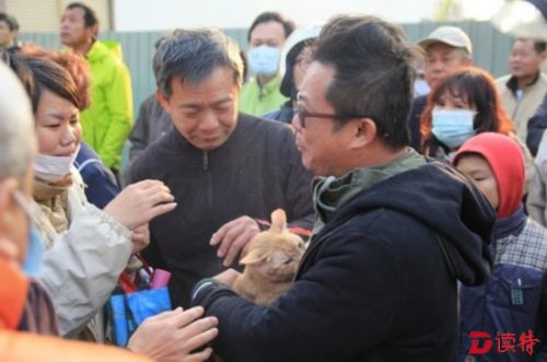 猫1