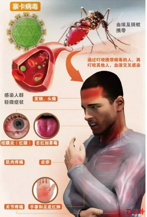 QQ图片20160210124034