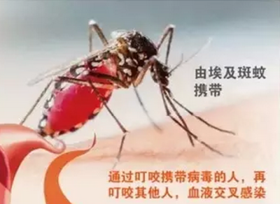 中国确诊一例输入性寨卡病毒感染病例 怎样预防