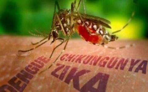 江西首例寨卡病毒病例处于恢复期  与患者密切接触者无相关症状