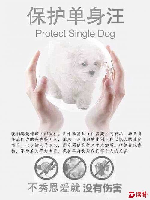 420221893209396332_副本