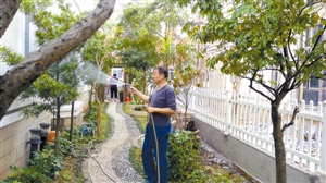 深圳家吃完早餐，一小时后惠州家莳花弄草，深圳人双城年好惬意
