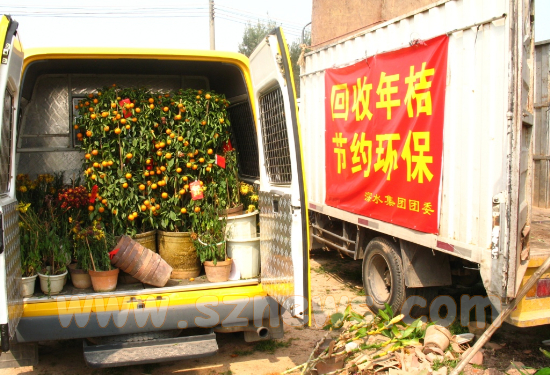 别再乱扔“过气”年桔了！让管理处打个电话就可回收
