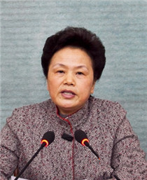 梅州市人大常委会党组书记、常务副主任林碧红接受组织调查