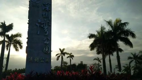 640.webp (15)_副本