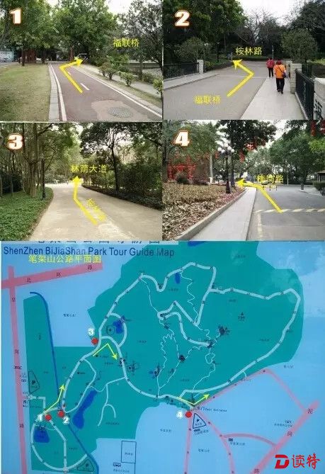 640.webp (30)_副本