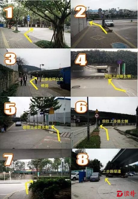 640.webp (31)_副本