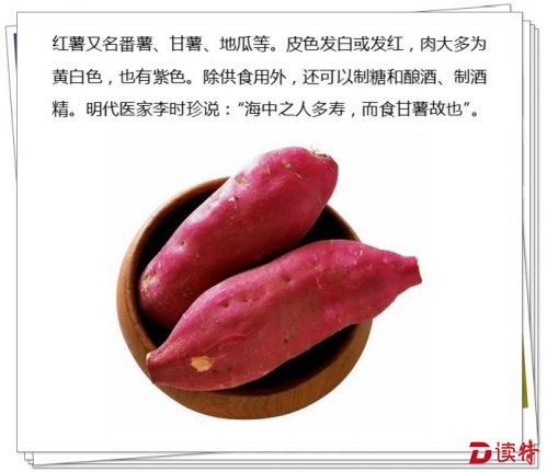 红薯_副本