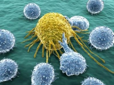 英科学家称找到癌症“致命弱点” 或有望治愈癌症