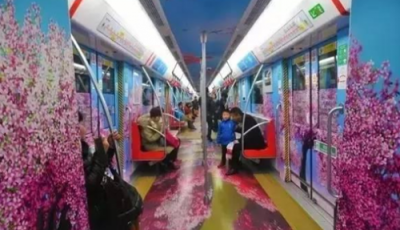 深圳最美地铁6月开通！不看不知道，地铁颜值原来这么高