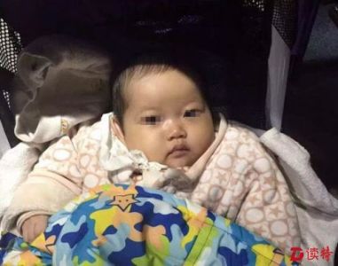 五个月大女婴被弃广州“小蛮腰”！孩子爹娘快现身吧