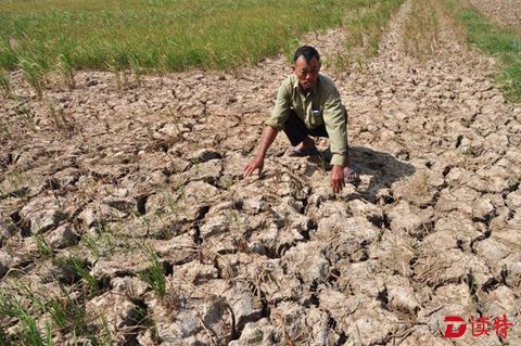 越南民众热盼“中国水”：椰子汁都由甜变咸了