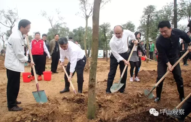 马书记率千人坪山植树，这些深意读懂了吗？