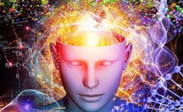 深圳布局脑科学前沿研究领域