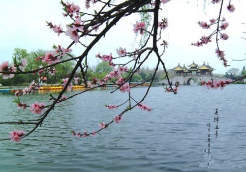 清明节去哪儿？ 大数据告诉你订酒店贴士