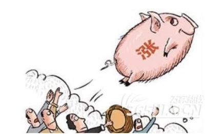人肥穷猪肥富！猪肉零售价每公斤同比上涨35.2% 