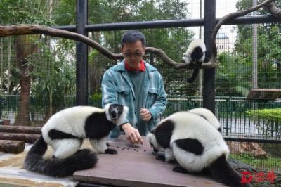 猴年去看群猴出阵献艺 香港4月2、3日举办“动物护理聚谈”