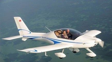 加拿大一小型飞机坠毁致７人遇难