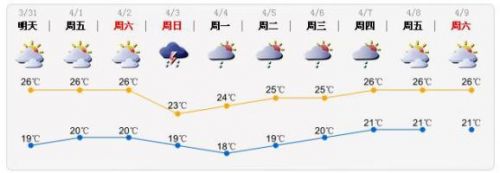 清明时节雨纷纷 想飞的心要经得起“湿”意