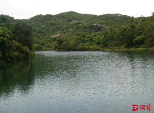 金龟村2