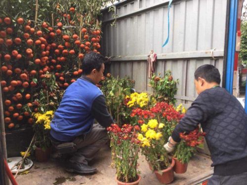 花4