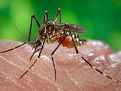 145852044990e3958e61709bcf