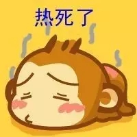 640.webp (1)