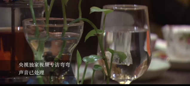 酒店遭劫女子接受央视专访：大家别做陌路人